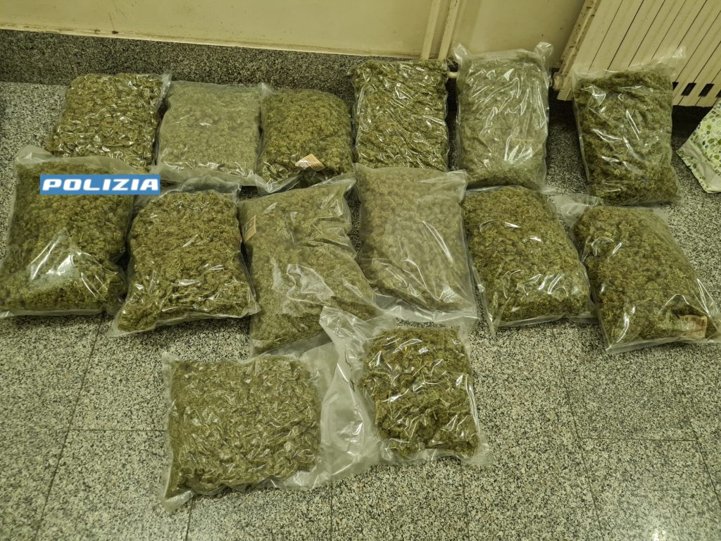 La droga sequestrata