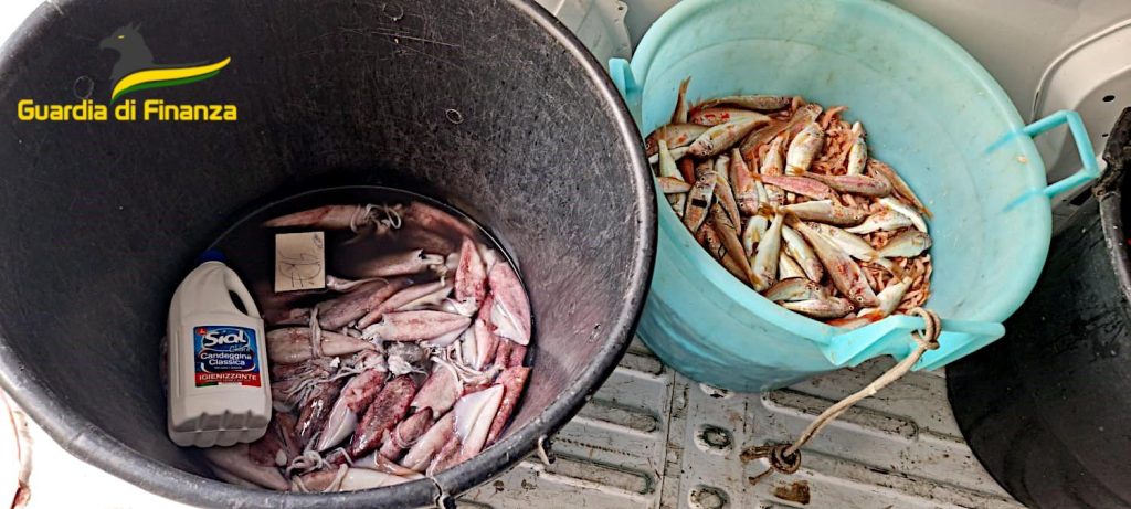 Operazione interforze, contrasto illeciti nello storico mercato della Pescheria 