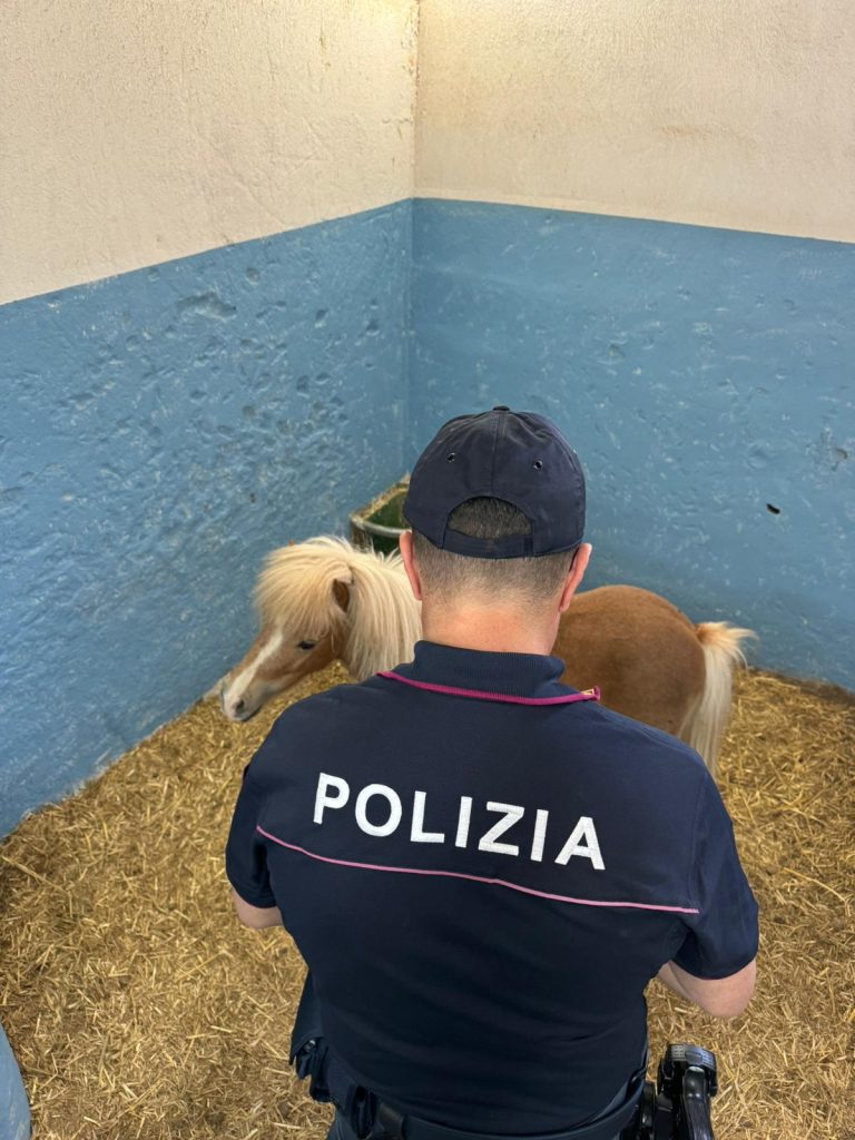 Controlli della Polizia a San Giovanni Galermo