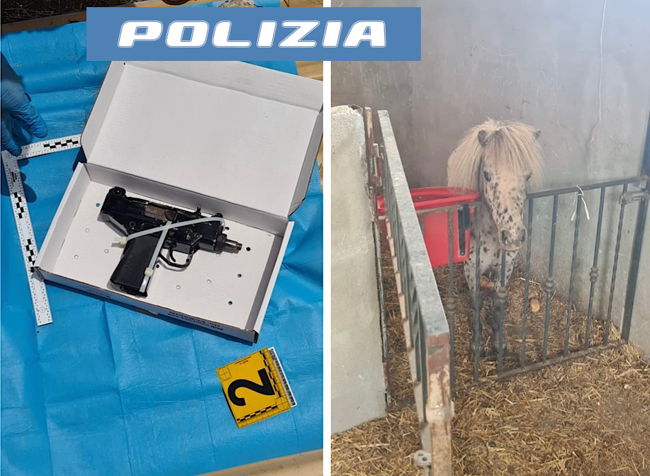 Pistola semiautomatica e pony sequestrati dalla Polizia