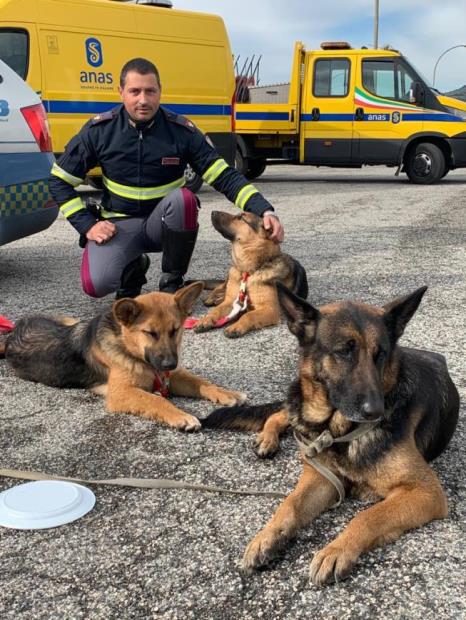 Polizia di Stato contro l’abbandono degli animali