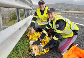 Polizia di Stato contro l’abbandono degli animali