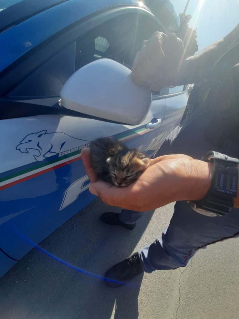 Polizia di Stato contro l’abbandono degli animali