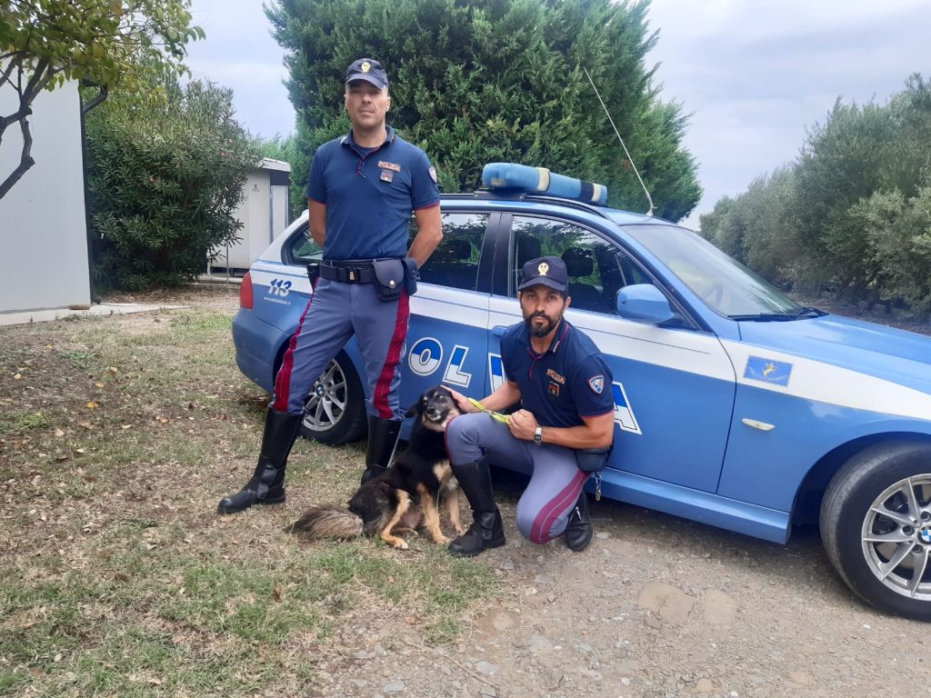 Polizia di Stato contro l’abbandono degli animali