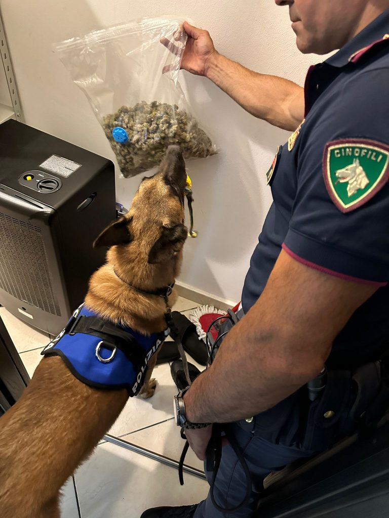 Il fiuto del cane poliziotto “Maui” consente alla Polizia di arrestare spacciatore