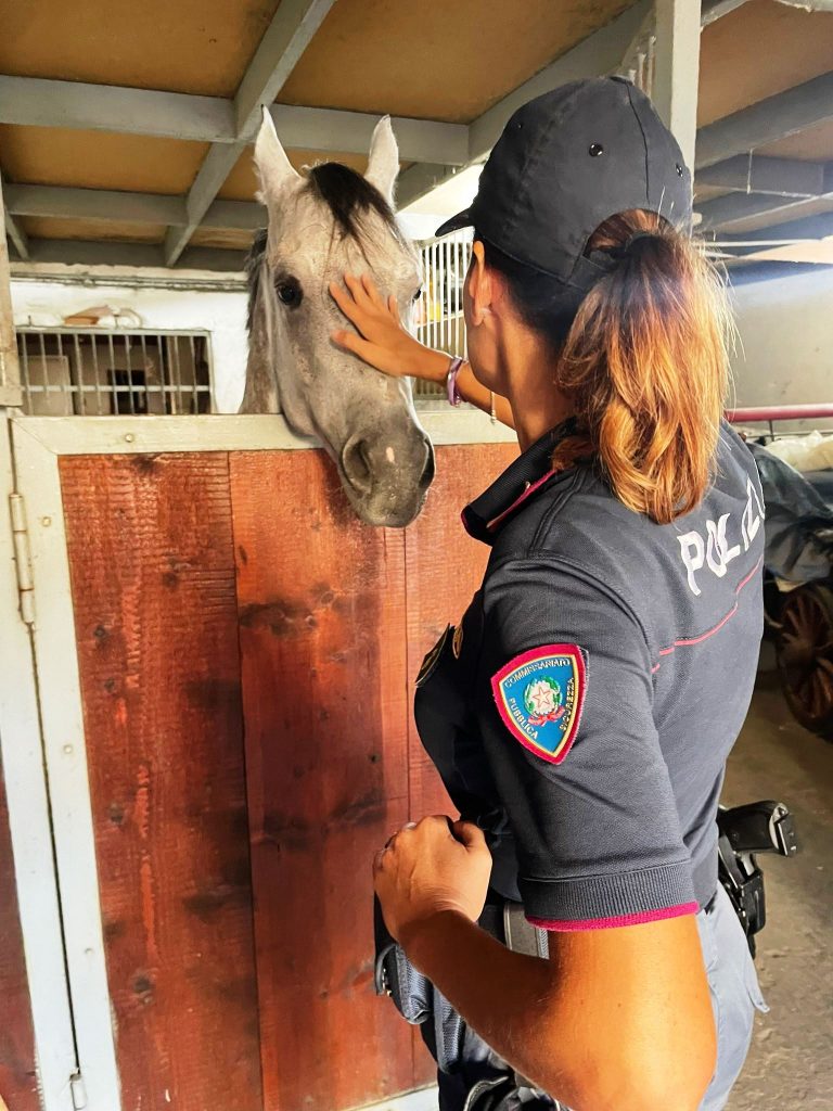 Polizia, intervento per maltrattamenti animali