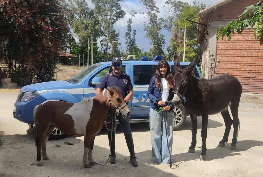 Polizia ritrova gli animali legati ad un cancello, foto augurale