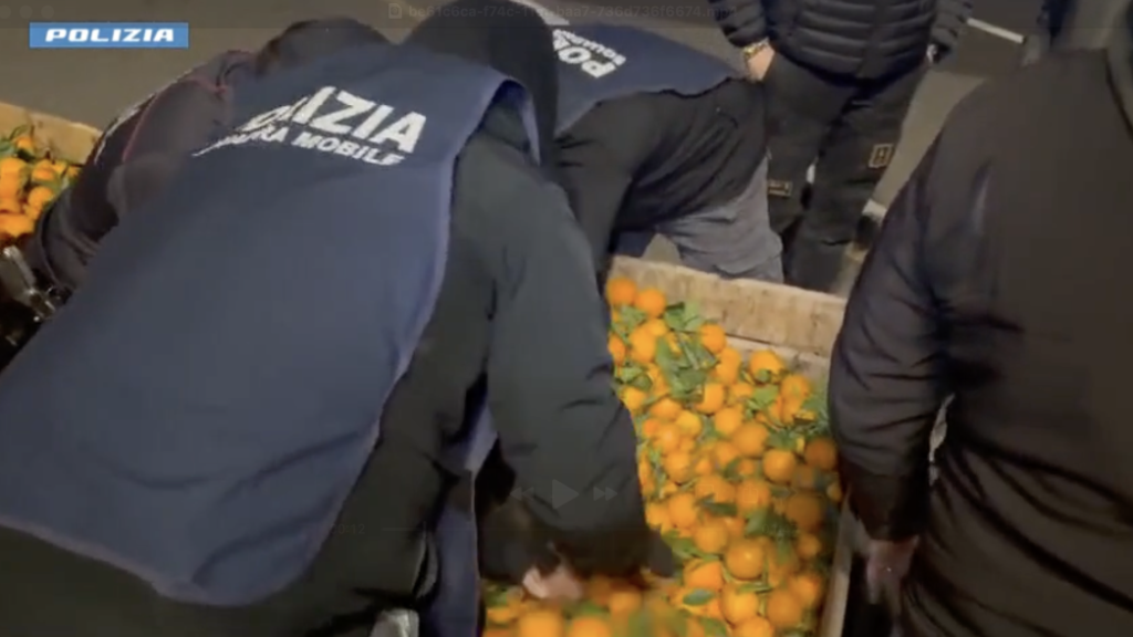 La droga sequestrata nel camion di frutta,